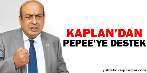 Hasip Kaplan'dan Pepee'ye destek: Diren Pepee!