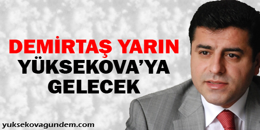 Demirtaş yarın Yüksekova'ya gelecek