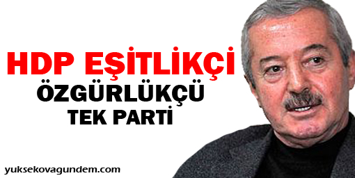 Birdal: HDP eşitlikçi, özgürlükçü tek parti