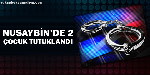 Nusaybinde iki çocuk tutuklandı