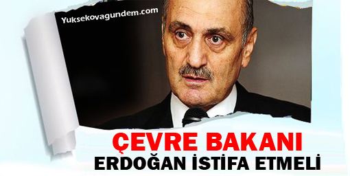 Çevre Bakanı: Erdoğan istifa etmeli!