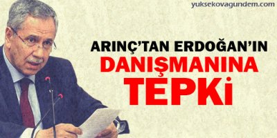 Arınç'tan Erdoğan'ın danışmanına tepki