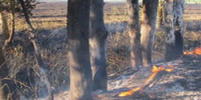 Çukurca'da çıkan yangın korkuttu