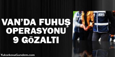 Van'da fuhuş operasyonu: 9 gözaltı