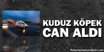 Kuduz can aldı