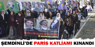 Şemdinli'de Paris katliamı kınandı