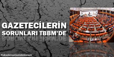 Gazetecilerin Sorunları TBMM'de