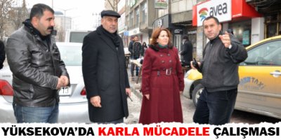 Yüksekova'da Karla Mücadele Çalışması