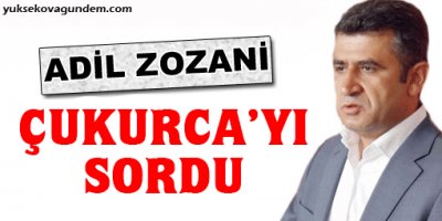 BDP'li Zozani Çukurca'yı sordu