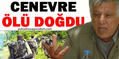 Bayık: Cenevre ölü doğdu