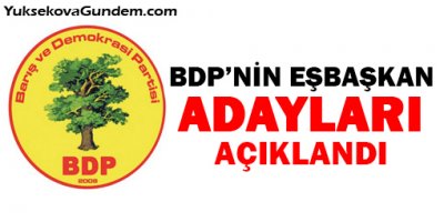 İşte BDP'nin eşbaşkan adayları