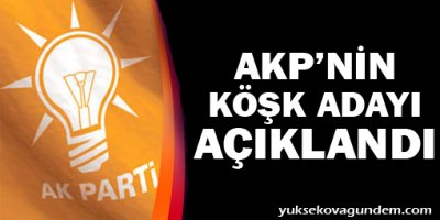Çelik, AKP'nin köşk adayını açıkladı
