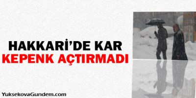 Hakkari'de kar kepenk kapattırdı