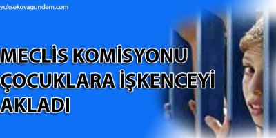 Meclis komisyonu çocuklara işkenceyi akladı