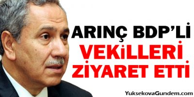 Arınç: İçeride kalmalarını hazmedemiyorum