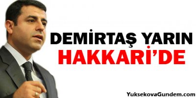 Demirtaş yarın Hakkari'de