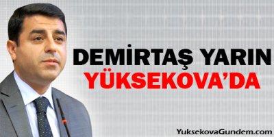 Demirtaş yarın Yüksekova'da