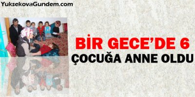Bir gecede 6 çocuğa anne oldu