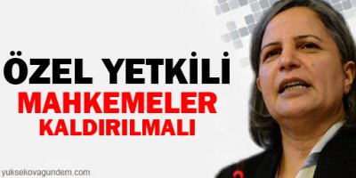 Kışanak: Özel yetkili mahkemeler derhal kaldırılmalı