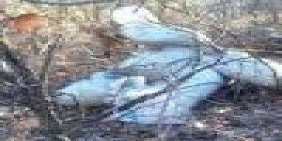 Diyarbakır'da 130 kilo patlayıcı bulundu