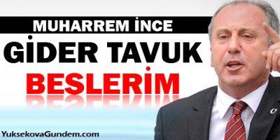 Muharrem İnce: AKP yüzde 49 oy alsın, gider tavuk beslerim