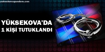 Yüksekovada 1, Erganide 3 kişi tutuklandı