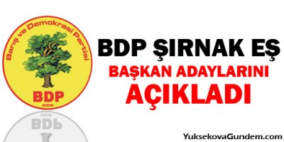 BDP, Şırnak ilçe ve belde eş başkan adaylarını açıkladı