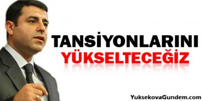 'Başta Başbakan olmak üzere tansiyonlarını yükselteceğiz!'