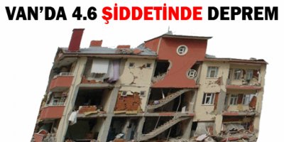 Van'da 4.6 şidettinde deprem