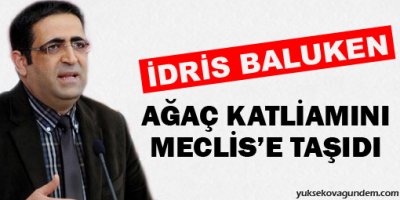 Vadisi'ndeki ağaç katliamını Meclis'e taşıdı