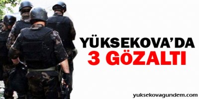 Yüksekova'da 3 gözaltı
