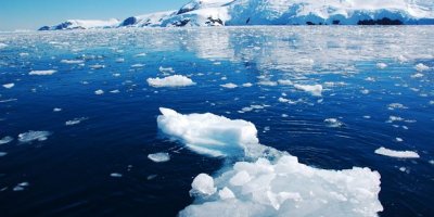 30 bin yıl sonra diriltmeyi başardılar