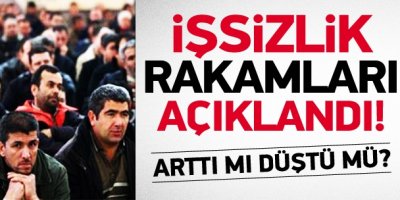 2013 yılı işsizlik rakamları açıklandı