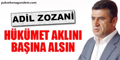 'Hükümet Aklını Başına Alsın'