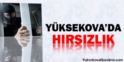 Yüksekova'da hırsızlık