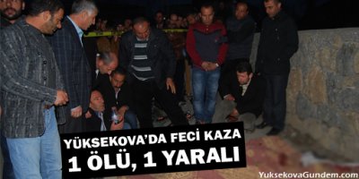 Yüksekova'da Feci Kaza: 1 ölü