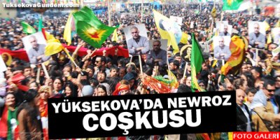 Yüksekova'da Newroz coşkusu