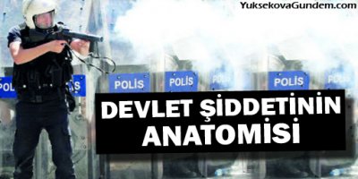 Devlet şiddetinin anatomisi