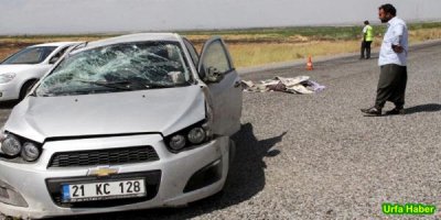 İki Kazada 3 Ölü 5 Yaralı