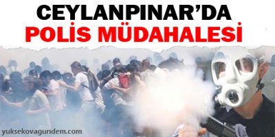Ceylanpınarda BDP'lilere müdahale