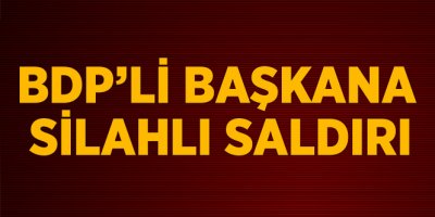 BDP'li Başkan Silahlı Saldırıda Ağır Yaralandı