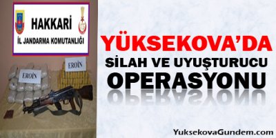 Yüksekova'da Silah Operasyonu