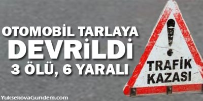 Otomobil tarlaya devrildi:3 ölü, 6 yaralı