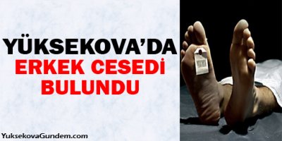 Yüksekova'da bir erkek cesedi bulundu