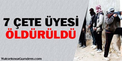 El Ekrad: Munbic'te 7 çete üyesi öldürüldü