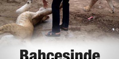 Evinin bahçesinde aslan besliyor