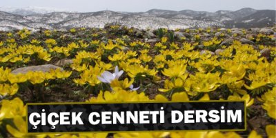 Çiçek cenneti Dersim