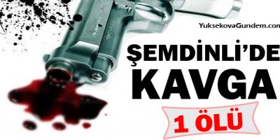 Şemdinli'de silahlı kavga: 1 Ölü!
