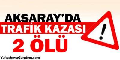 Minibüs kaza yaptı: 2 ölü