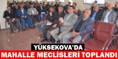 Yüksekova'da 'Yeni sürece adaptasyon' toplantısı